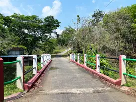 Tanah Cocok Untuk Investasi / Ternak Ayam