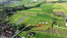 Dijual Tanah di Kedungu, Desa Belalang