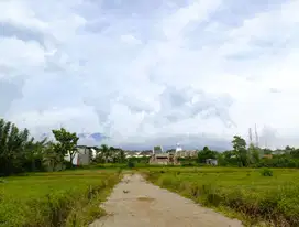 Tanah Murah Merjosari Dekat Kampus Terkenal