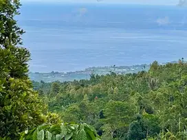 Tanah Full View Pantai Lovina Bangkiang Sidem Buleleng Bali