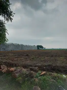 Lahan Industri Murah - Kawasan Ekonomi Khusus