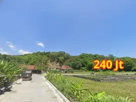 Jalan Lebar View Sawah Tanah 240 Juta Siap AJB