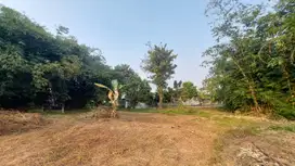 Tanah Murah Cileungsi Dekat Jalan Raya Mampir. Harga Promo