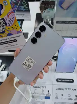 Samsung Galaxy S25
