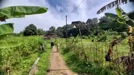 Tanah Dijual 4000 Meter di Semplak Bogor