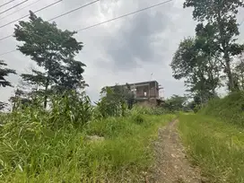Tanah Lokasi UIN 3 Straegis Untuk Rukost 500 m Fakultas Kedokteran