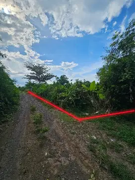 dijual tanah pinggir pantai dekat kota singaraja  dan lovina