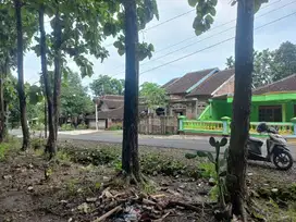 DIJUAL TANAH PEKARANGAN  FULL POHON JATI HADAP JALAN DPU DI SUKOHARJO