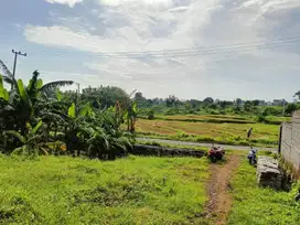 JUAL TANAH KAVLING STRATEGIS DI PRIGEN