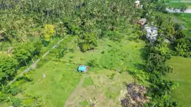 Dijual Tanah Datar Di Area Villa Desa Kaliasem Lovina