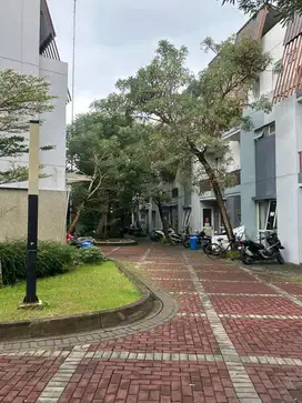 Rumah Kos Kos an Bagus Lokasi Strategis Piazza Bsd City