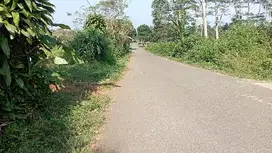 Tanah Kebun Lt. 6225 m, Pinggir Jalann Raya, Bojong, Purwakarta.