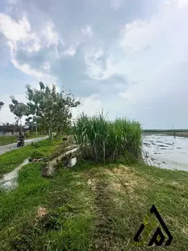 Dijual cepat tanah  industri lokasi Ngawi, Luas 2.4 Ha