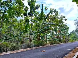 Jual Tanah Dekat SMA Negeri Kerjo Karanganyar