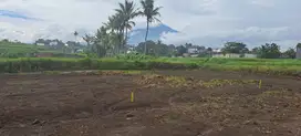 Tanah strategis Singosari siap bangun