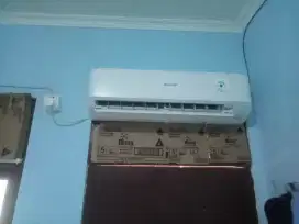 AC Sharp 1/2 PK