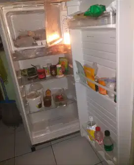 Kulkas 1 pntu 60 w sgt normal beku free llmpve