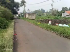Jual cepat turun harga tanah kebun pakuhaji cilame bandung barat