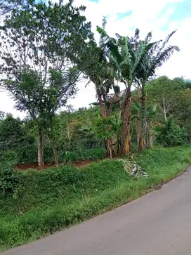 Dijual Cepat Lahan Perkebunan, Tepi Jalan Utama, Sukanegara