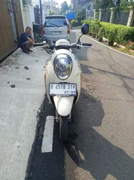 Honda Scoopy 2014