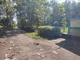Tanah pekarangan murah 1.440m²  muka 35m wonoharjo wonogiri kota