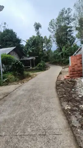 Buat bangun pila