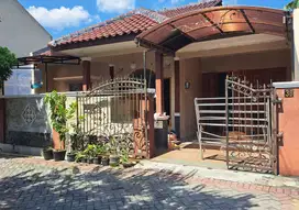 Dikontrakan Rumah Gedongsongo dkt RS Kariadi - Tugu Muda Semarang