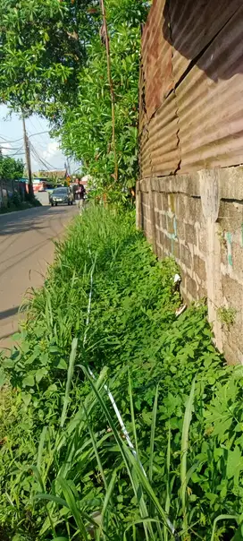 Disewakan tanah di Pagedangan BSD