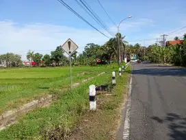 Tanah sawah dijual murah