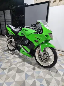 Ninja rr gen 4 pajek hidup