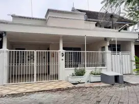 Rumah Murah 1lt Sutorejo Timur Surabaya Timur