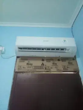 Ac Sharp 1/2 PK