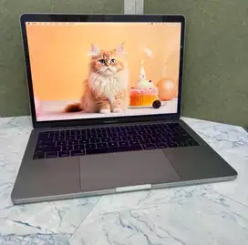 Macbook Pro 13 inch 2017 2 thunderbolt 3 port