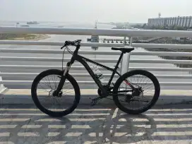 Sepeda MTB Element Alton Pride