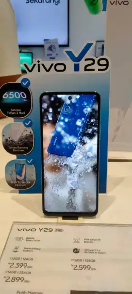 Vivo Y29 4G 8/256