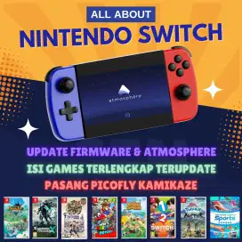 NINTENDO SWITCH UPDATE FIRMWARE DUALBOOT PICOFLY ISI GAMES DLL