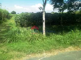 Tanah DIJUAL di Banjarejo, Ngadiluwih Kabupaten Kediri, Diapit 2 Akses
