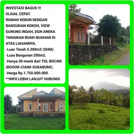Villa Rumah kebun invest untung banyak buah dekat tol Bogor-Parungkuda
