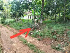 Dijual Tanah Kebun 400m² Jonggol, Cileungsi Bogor timur