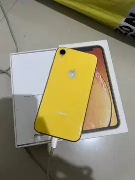 iphone xr 128gb kuning