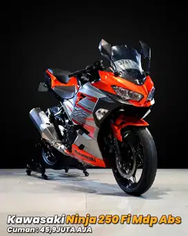 KAWASAKI NINJA 250 ABS MDP NIK 2018