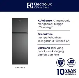 Kulkas Electrolux ETM3400L-B