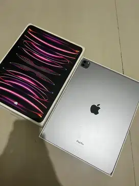 ipad pro 6 512gb garansi on