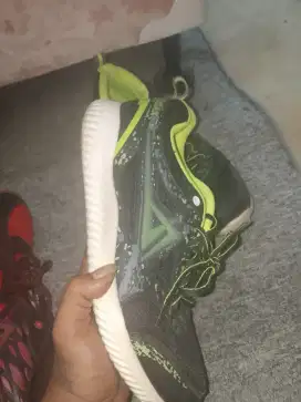 Sepatu running merk audax dan converse
