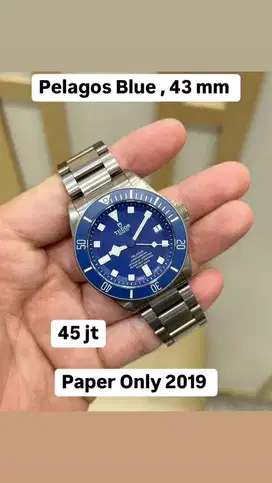 Tudor pelagos blue, 43 mm, paper only