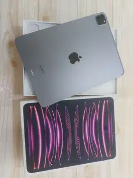 Ipad Pro M2 11in 512 Gb Wifi only Second ibox