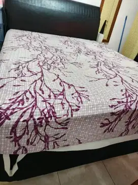 Dijual dipan + sandaran (tidak termasuk kasur)