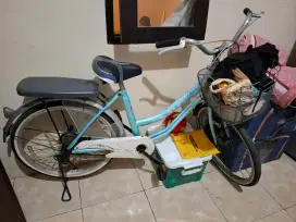 Sepeda Wim Cycle Nexia UK 24
