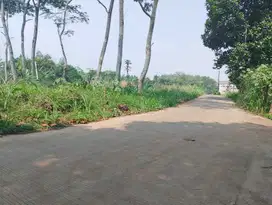 SHM! Tanah Kavling Tajurhalang, Dekat Kantor Desa Sasak Panjang
