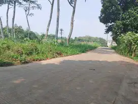 Promo 1 Jt-an ! Kavling Tajurhalang, 700 Meter Kantor Desa Sasak Pjg